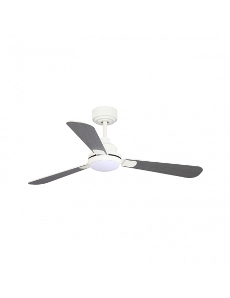 Ventilador Noe LED com lâminas reversíveis Cristal Record