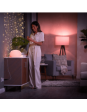 Enchufe inteligente Smart plug Philips