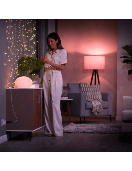 Prise intelligente Prise intelligente Philips