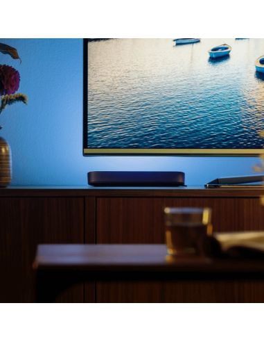 Hue Play barre lumineuse double pack noir multicolore