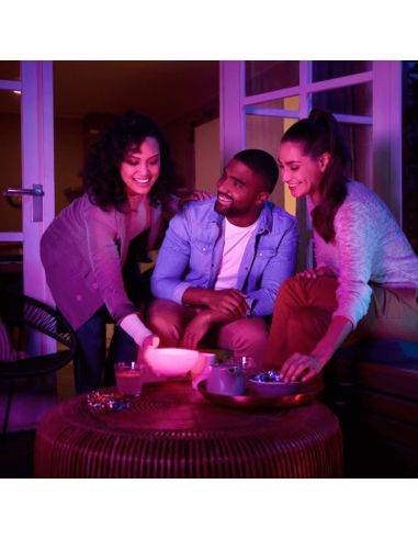 Lámpara de mesa LED portátil inteligente Hue Go Philips Hue