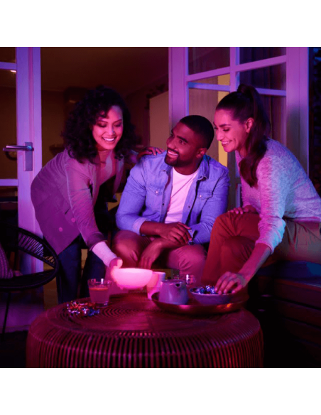 Philips Hue Hue Go Smart Candeeiro de mesa LED portátil