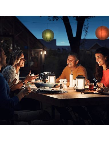 Candeeiro de mesa preto para exterior Cicero Philips 8719514443730 | leonleds