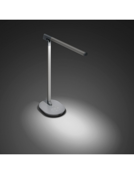 Lâmpada LED Espada minimalista antracite ajustável luz fria