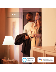 Bombilla LED esferíca inteligente Hue 470Lm 5,7w 2.700K Compatible con Alexa Google Home Philips | LeonLeds 2