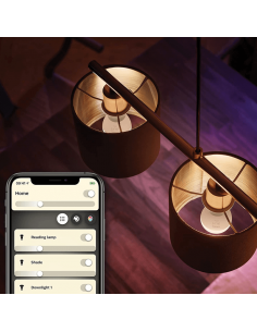 Pack 2 Bombillas LED esferíca inteligente Hue 470Lm 5,7w 2.700K Compatible con Alexa Google Home 8719514356696 | LeonLeds 2