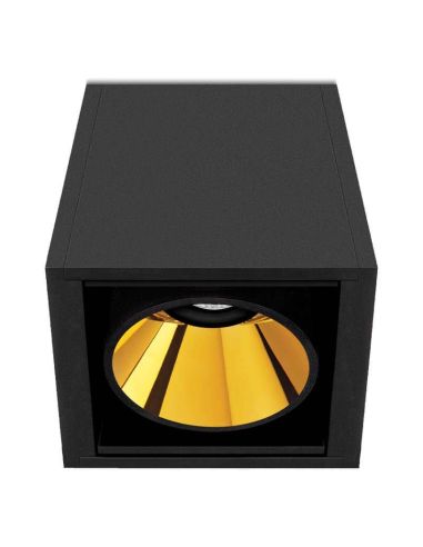Plafonnier LED Black Foster Surface 1