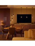 Bombilla LED Globo G93 Edison 550Lm 7W 2.100K - Philips Hue - Compatible con Alexa, Google Home 8719514301481 | LeonLeds
