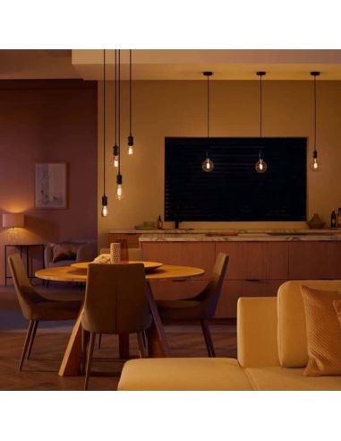 Bombilla LED ST64 Filamento 550Lm 7W 2.100K - Philips Hue - Compatible con Alexa, Google Home Philips | LeonLeds