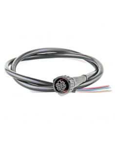 Conector 7 PIN con Cable