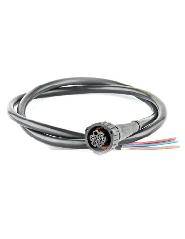 Conector 7 PIN con Cable