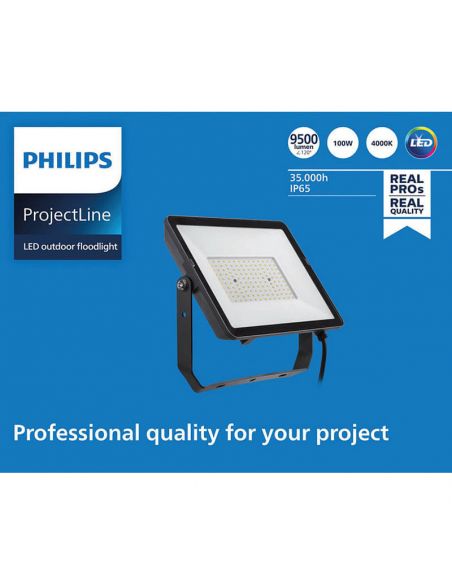 Spot LED d'extérieur 100W ProjectLine 9 500Lm IP65 8719514954564 Philips | leonleds