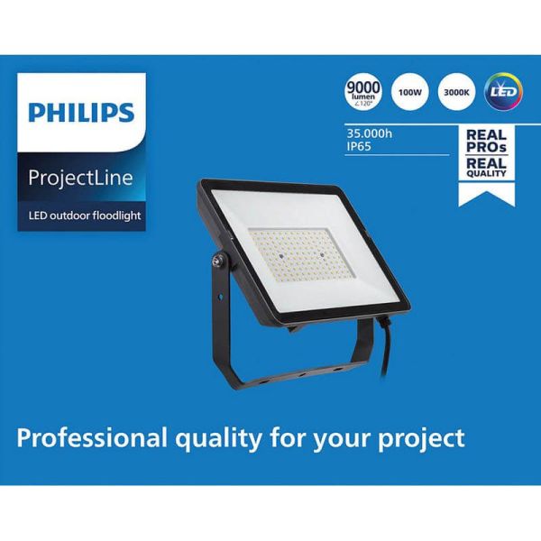 Foco Proyector LED 100W de exterior ProjectLine 9.500Lm IP65 8719514954410 Philips | LeonLeds