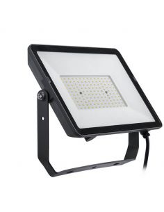 Foco Proyector LED 100W de exterior ProjectLine 9.500Lm IP65 Philips | LeonLeds