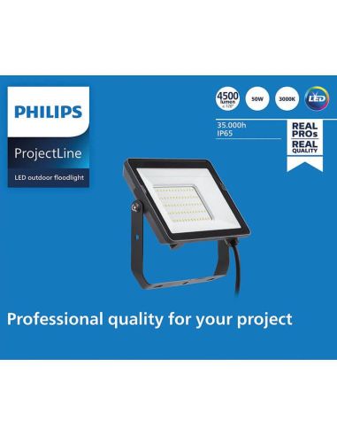 Proyector LED 50W de exterior ProjectLine 4.500Lm IP65 8719514954410 Philips | LeonLeds