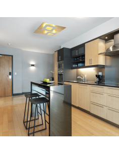 Plafón LED Dalia blanco y oro moderno 2