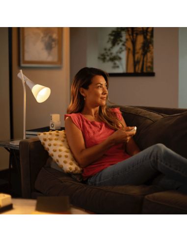 Kit de inicio 2 bombillas inteligentes E27 White and color ambiance + regulador de intensidad