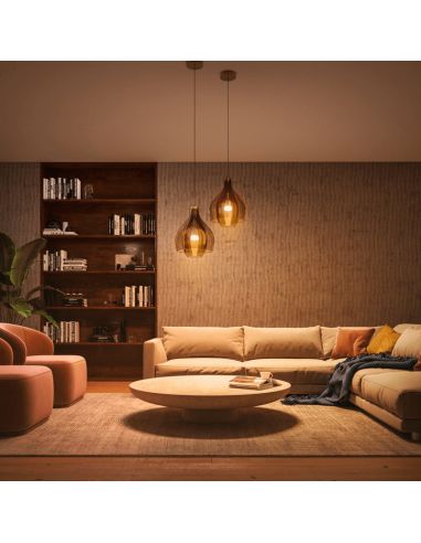 Kit de inicio 2 bombillas inteligente E27 White ambiance + dimmer ambiente Philips