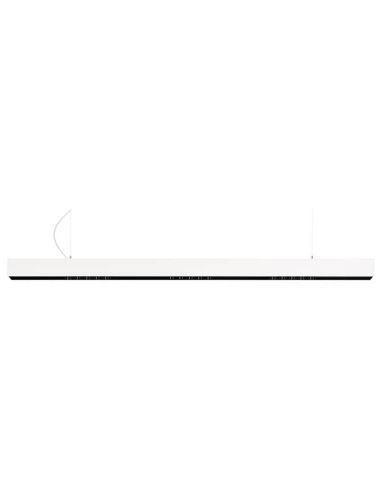 Black Foster Suspension 1600 ArkosLight