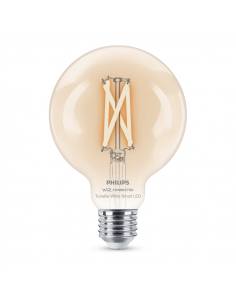 Bombilla LED Globo con filamento transparente 7W - 60W G95 Philips 8719514372184 | LeonLeds 2
