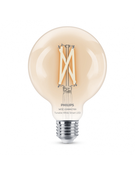 Bombilla LED Globo con filamento transparente 7W - 60W G95 Philips | LeonLeds