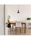 Ambiente Plafonnier design moderne en métal Enzo 1 X E27 Noir | leonleds