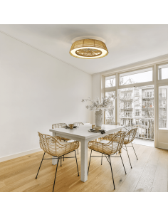 Ventilateur de plafond LED... 2