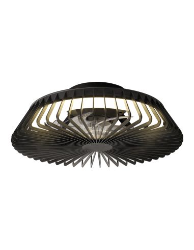 Ventilador de techo con luz Himalaya Mini negro