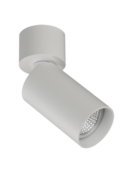 Foco de techo de superficie orientable Zoom 1xGU10 blanco