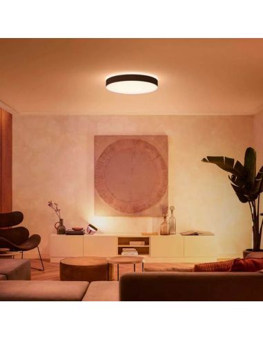 Dormitorio Plafón LED Redondo de color Negro Enrave XL Philips Hue 48W 6.100Lm 2.200K - 6.500K 8718696176481 | LeonLeds