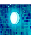Luz LED RGB para piscina recargable Papaya 12