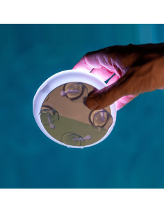 Luz LED RGB para piscina recargable Papaya 12 con ventosas 2