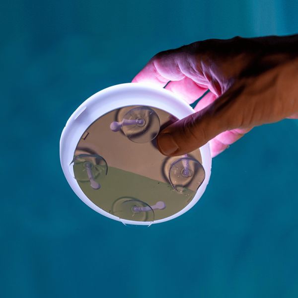 Papaya 12 luminária LED RGB recarregável para piscina com ventosas submersíveis