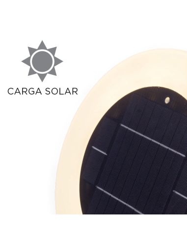Luz LED RGB para piscina solar sin cables Papaya con placa solar