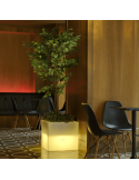 Macetero con luz LED solar para exterior Narciso 40 ambiente