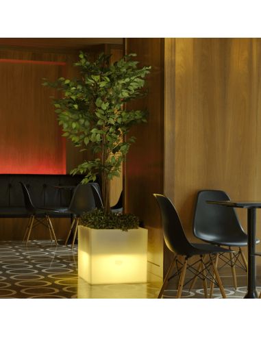 Macetero con luz LED solar para exterior Narciso 40 ambiente