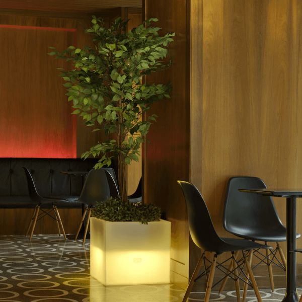 Macetero con luz LED solar para exterior Narciso 40 ambiente