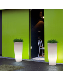 Maceta con luz multicolor recargable Bambú de 90cm ambiente