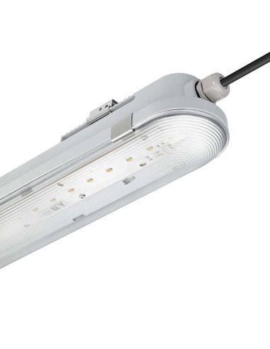 Ecran Etanche 60cm 17W Philips