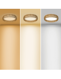 Plafón de techo LED grande Kilimanjaro natural dimmable de 50W luz regulable