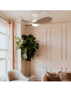 Ventilateur de plafond Rainbow M, moteur LED 18W DC 2