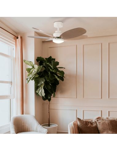 Ventilateur de plafond Rainbow M, LED 18W DC moteur Environnement