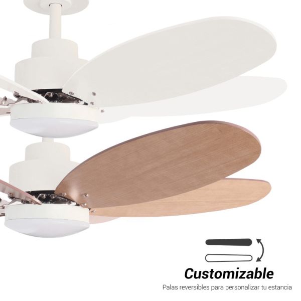 Ventilateur de plafond Rainbow M, moteur DC 18W LED Pales réversibles