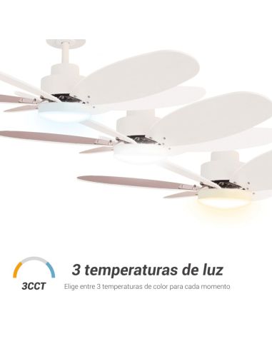 Ventilateur de plafond Rainbow M, LED 18W DC moteur 3 températures de lumière