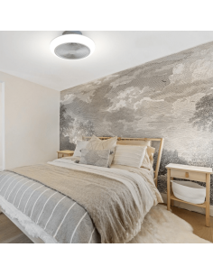 Ventilateur de plafond LED Enkel 44W flux concentré DC 2