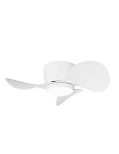 Ventilador de teto pequeno com LED Monty DC