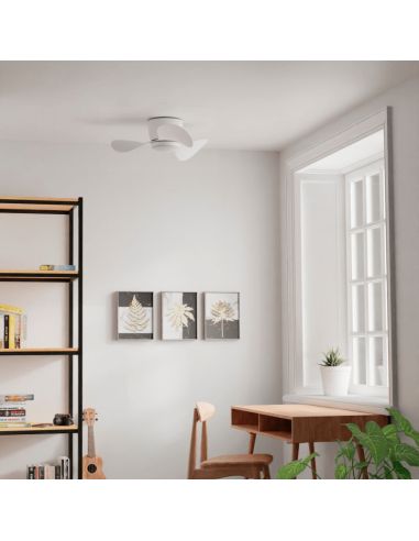 Ventilador de Techo pequeño con LED Monty DC ambiente apagado