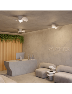 Ventilador de teto pequeno com LED Monty DC 2