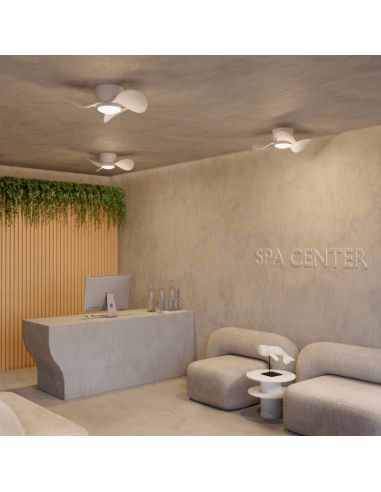 Ventilador de Techo pequeño con LED Monty DC ambiente