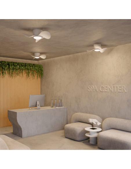 Ventilador de teto pequeno com atmosfera LED Monty DC